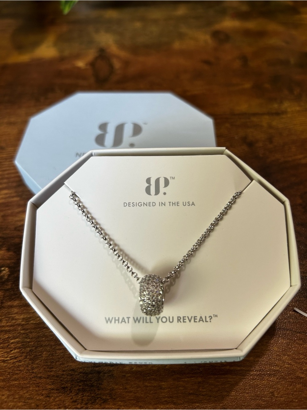 Bomb Party OG “Give Your All” Rhodium Necklace
